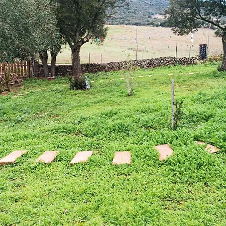 Momenc De Pesc Bed & Breakfast